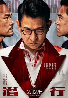 《人生路不熟》海报